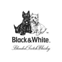 Black & White Scotch Whisky Black & White Scotch Whisky image